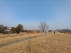 -盘龙城遗址博物院