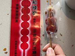 -和禄德冰糖葫芦