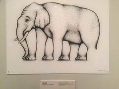 -香港科学馆
