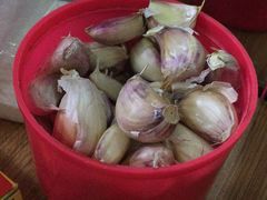 -马学武手抓美食(下南关总店)