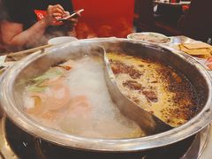-朱氏胖子烂火锅(洪崖洞店)