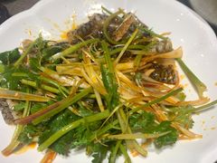 -佛山市禅城区登珑阁餐厅(文华新天地店)