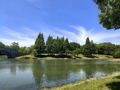 -尚贤河湿地