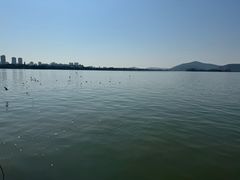 -蠡湖大桥公园
