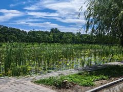 -绿堤公园