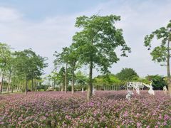 -广东花都香草世界旅游度假区