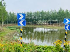 -东郊湿地公园