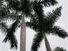 -广州市白云山风景名胜区