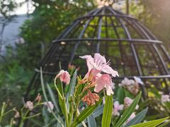 -正佳雨林生态植物园