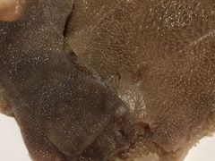 -海底捞火锅(石厦时代广场店)