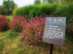 -汉长安城未央宫国家考古遗址公园