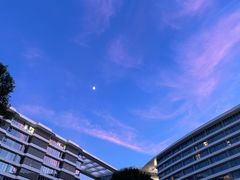 -福巷湘食小馆·猛火现炒(上海首店)