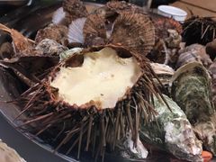 -宾朋海鲜特色美食餐厅·纯手工鲅鱼水饺(兴海路店)