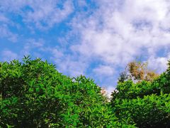 -苏州河梦清园环保主题公园