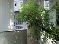 -湖北美术学院(昙华林校区)