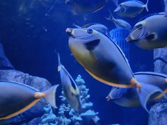 -成都浩海立方海洋公园