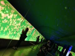 -多彩贵州城极地海洋世界