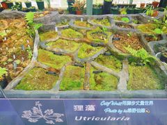-北京植物园-展览温室