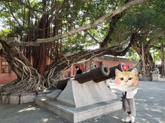 -闽粤南澳总镇府