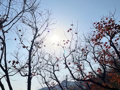 -周口店坡峰岭风景区