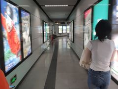 -车公庙(地铁站)