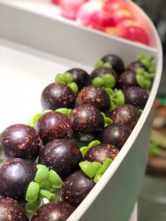 -MINI MARS KIDS CLUB亲子家庭中心(长宁天山店)