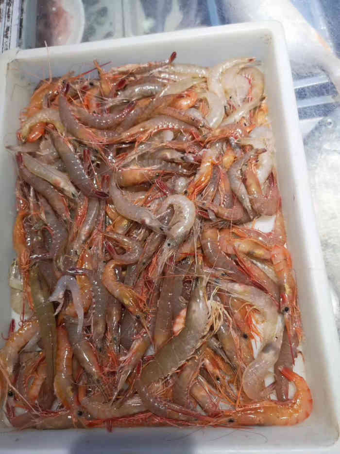 海鲜真多.品种丰富多样.最喜欢海参凉拌.