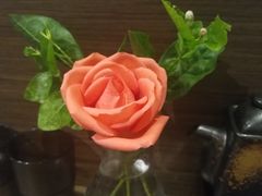 -雷神拉面(财富中心玉米楼店)