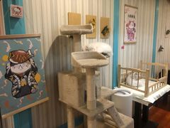 -猫小院猫主题咖啡厅(北锣店)