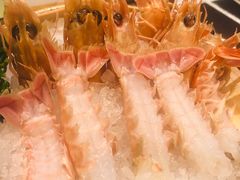 -蟹将军·松叶蟹和牛日料放题自助(K11店)