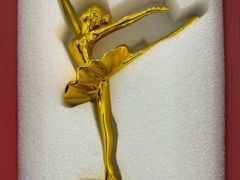 -中央芭蕾舞团·中芭艺蕾(酒仙桥明星校区)