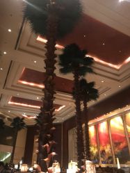 -光大会展中心国际大酒店-宴会厅