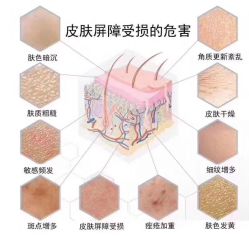 -MLP美丽派·问题肌疗愈中心
