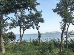 -养马岛旅游度假区