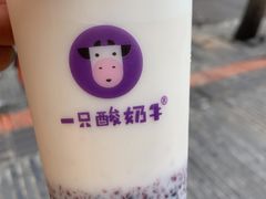 -一只酸奶牛(奎星楼店)