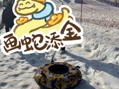 -绿野森林乐园冰雪季