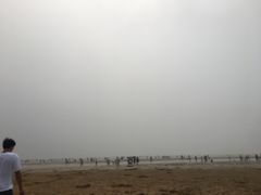 -刘家湾赶海园