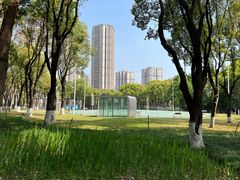 -重庆市江北嘴中央商务区中央公园