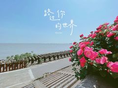 -上海滨江森林公园