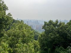 -南山植物园