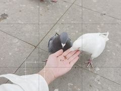 -沈阳森林动物园