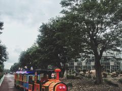 -南通洲际绿博园