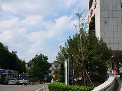 -北京中医药大学东方医院(方庄院区)