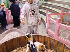 -正佳雨林生态植物园