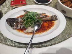 -粤珍轩.创始店.始于2001(含光门店)