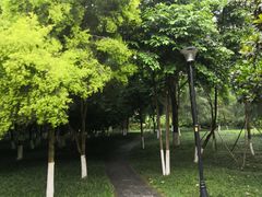 -龙头寺公园