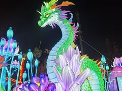 -花博汇(知音花月夜)