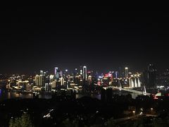 -老幺泉水鸡