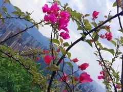-重庆平顶山公园