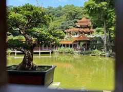 -深圳仙湖植物园